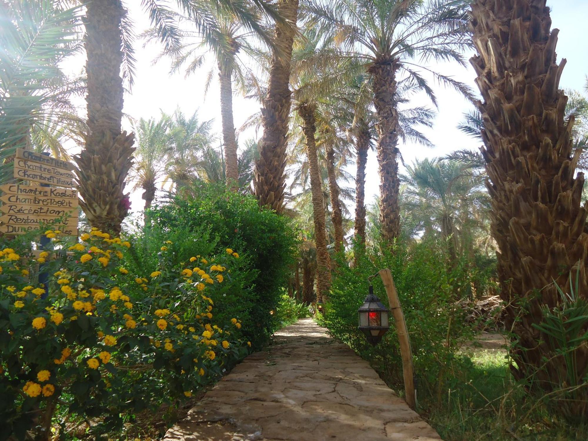 Riad Tagmadarte Ferme D'Hote Zagora Exterior photo