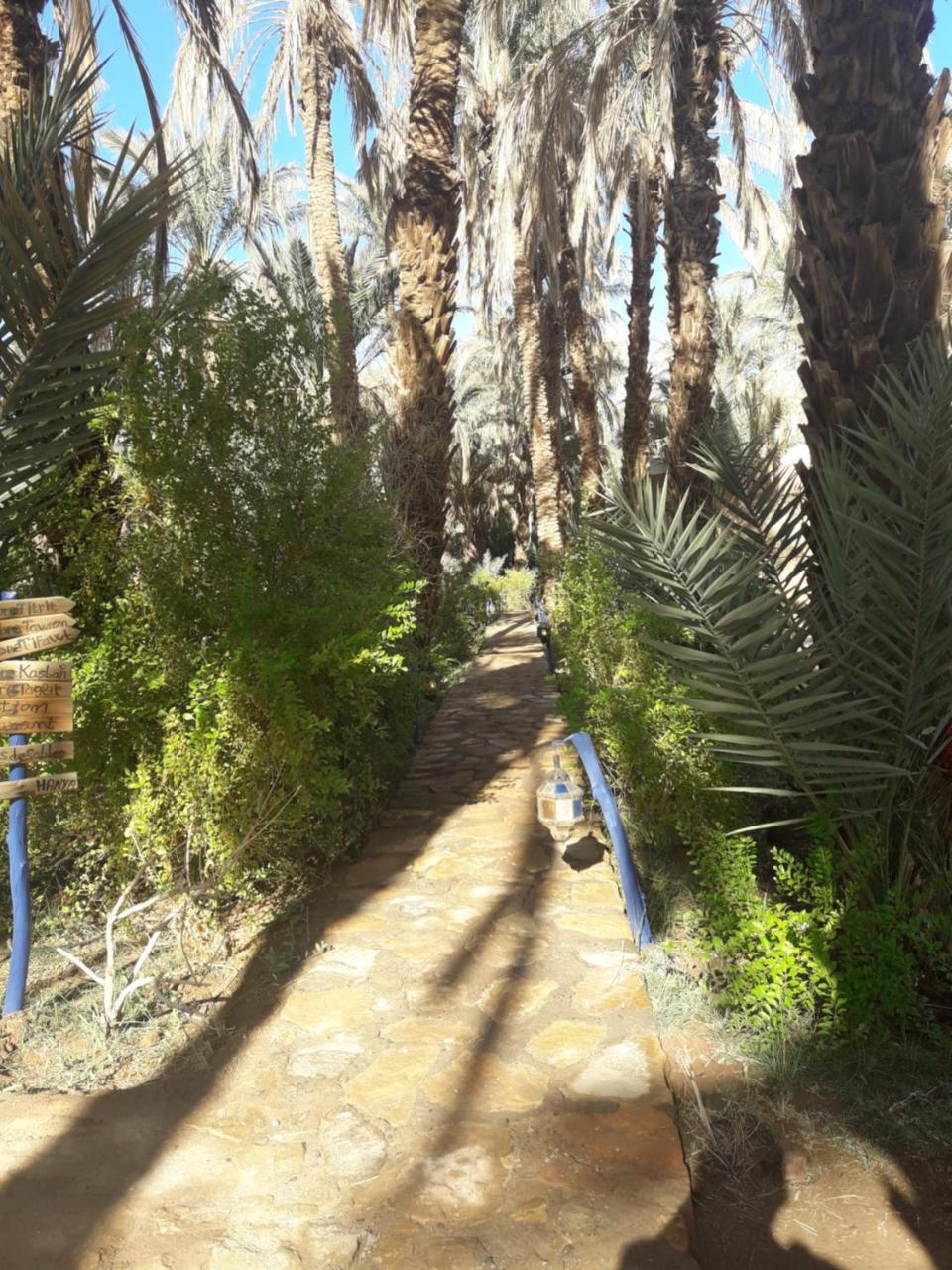 Riad Tagmadarte Ferme D'Hote Zagora Exterior photo