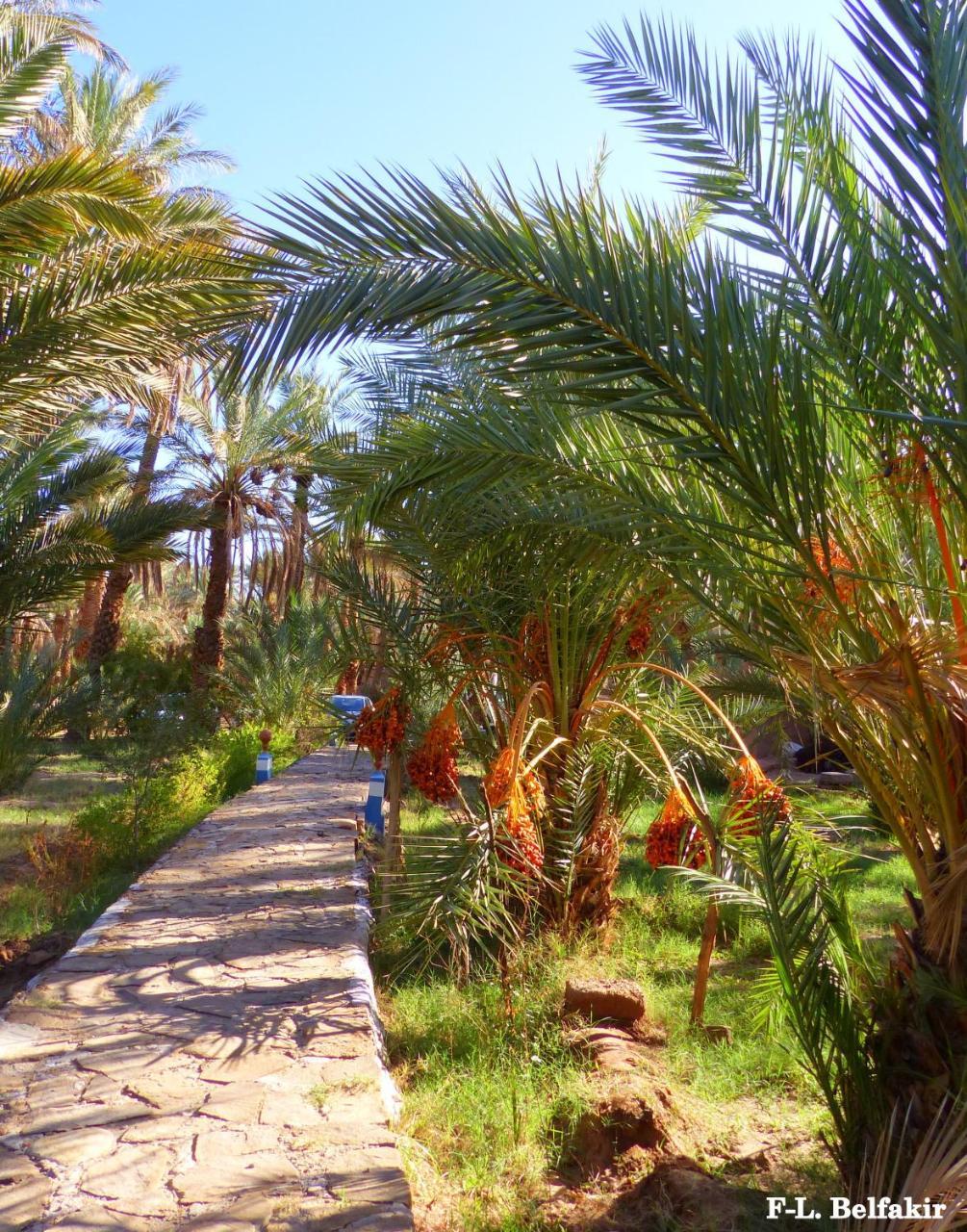 Riad Tagmadarte Ferme D'Hote Zagora Exterior photo